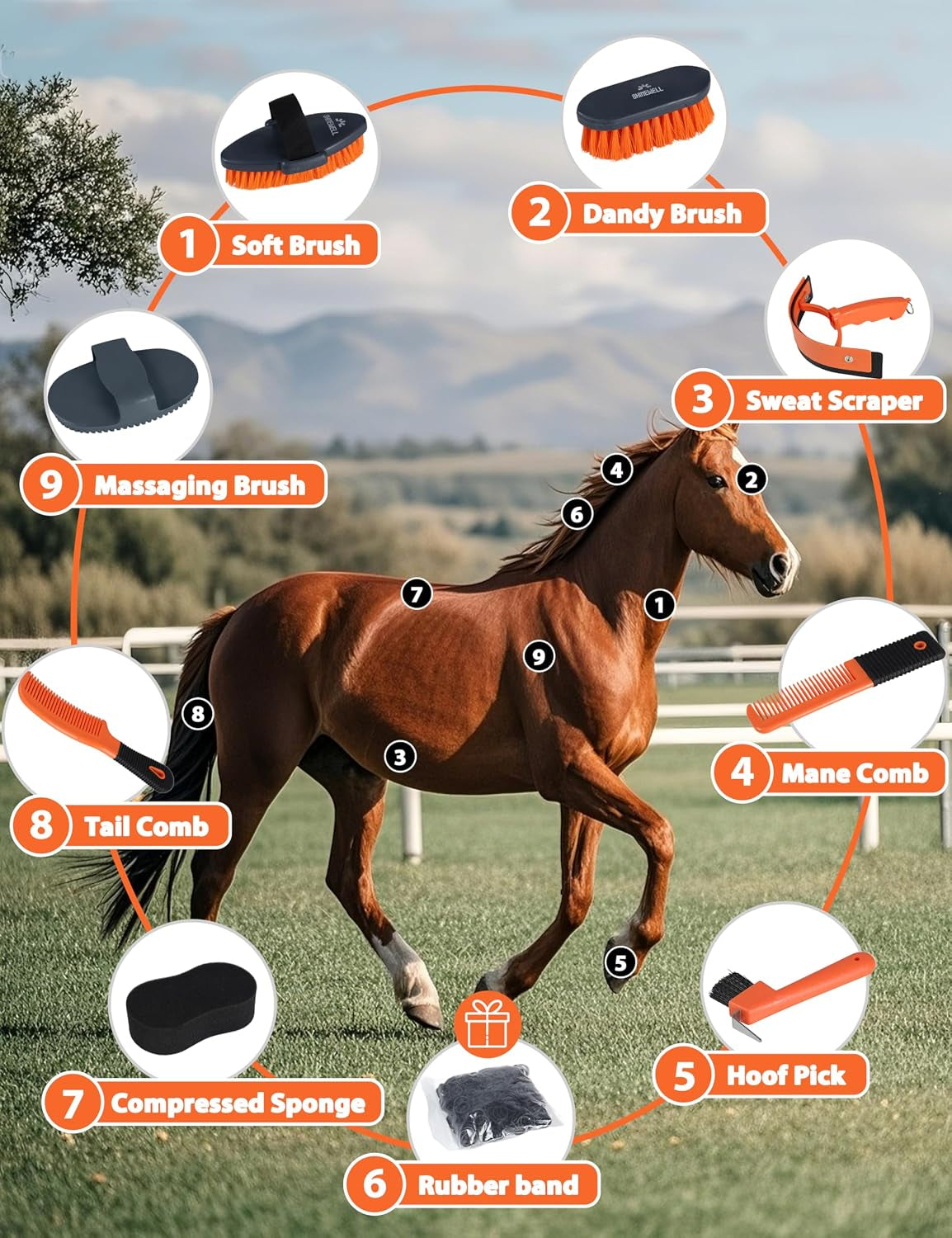 8-Piece Horse Grooming Kit, Complete Horse Brush Set
