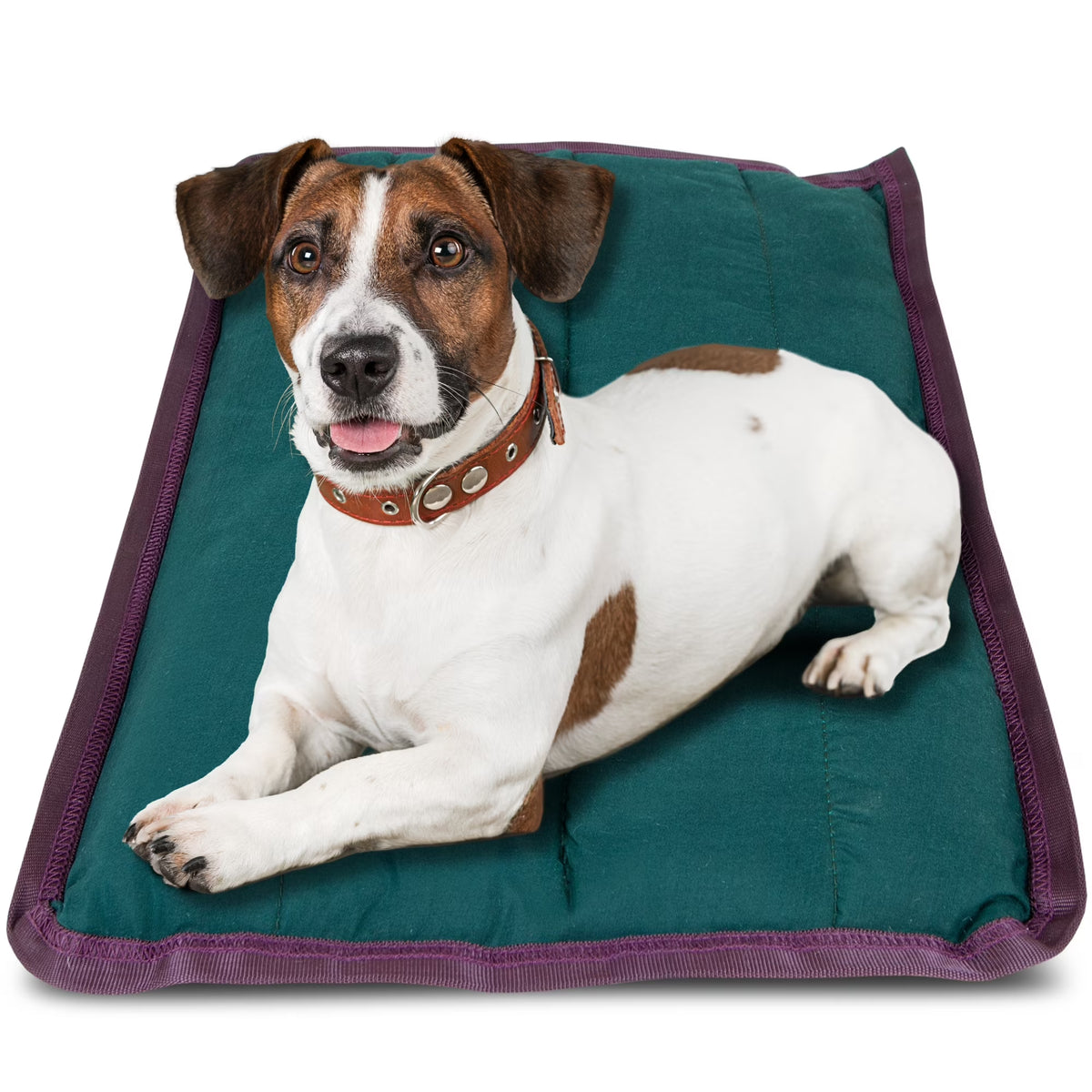 Pet Comfort Dog Pillow, Large 30" X 40", Dark Green – Machine Washable Dog Bed for House, Sofa, Crate & Travel – Poly Cotton Shell, Winter Warmth, Soft, Comfy, Durable, Top Pet Bedding