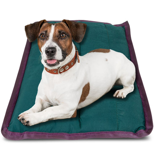 Pet Comfort Dog Pillow, Large 30" X 40", Dark Green – Machine Washable Dog Bed for House, Sofa, Crate & Travel – Poly Cotton Shell, Winter Warmth, Soft, Comfy, Durable, Top Pet Bedding