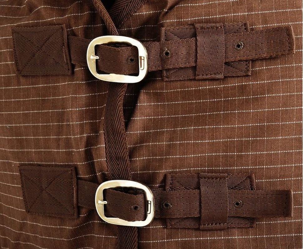 Basic Canvas Turnout Blanket for Horses, 75" - Green & White Check