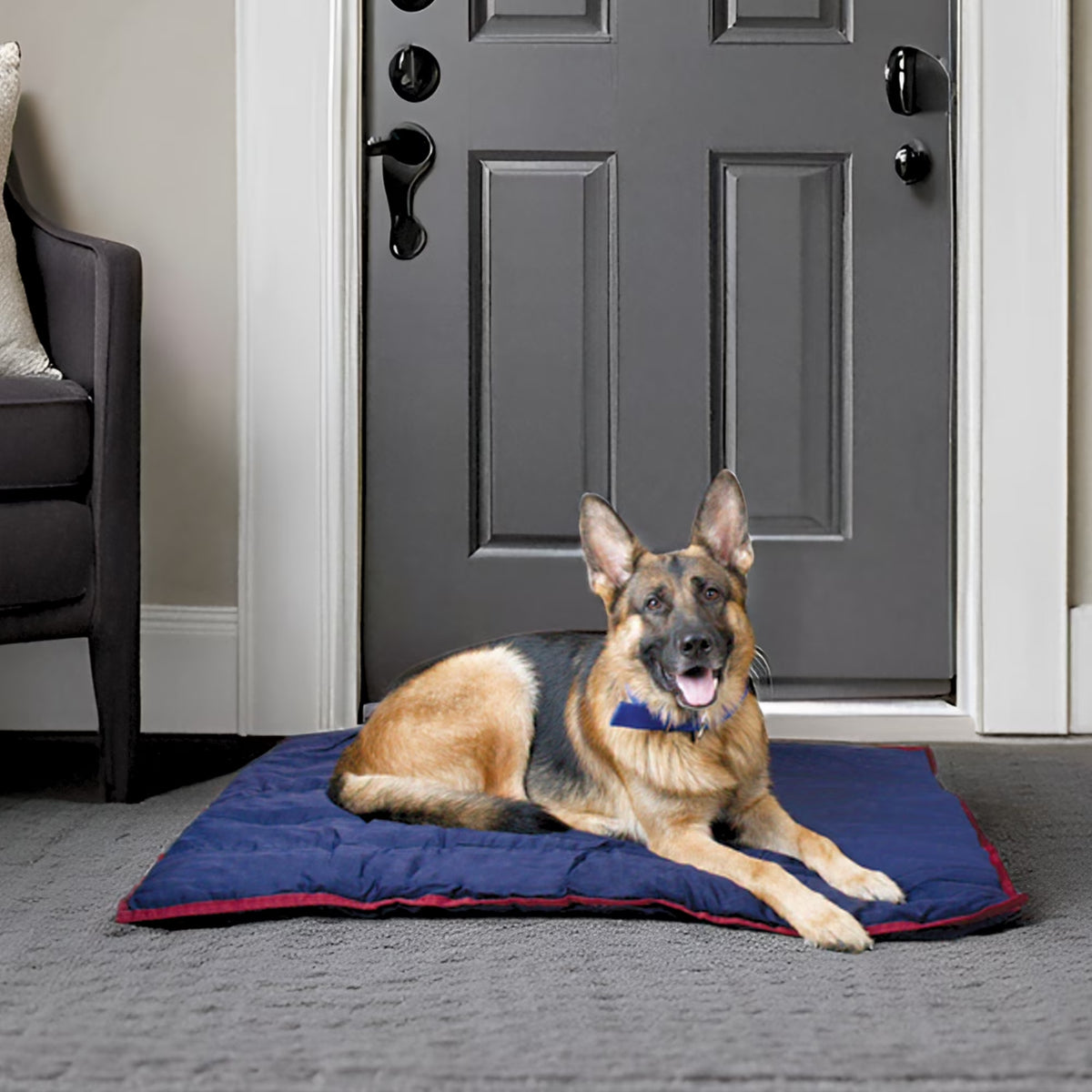 Pet Comfort Dog Pillow, Tiny 12" X 18", Navy – Machine Washable Dog Bed for House, Sofa, Crate & Travel – Poly Cotton Shell, Winter Warmth, Soft, Comfy, Durable, Top Pet Bedding