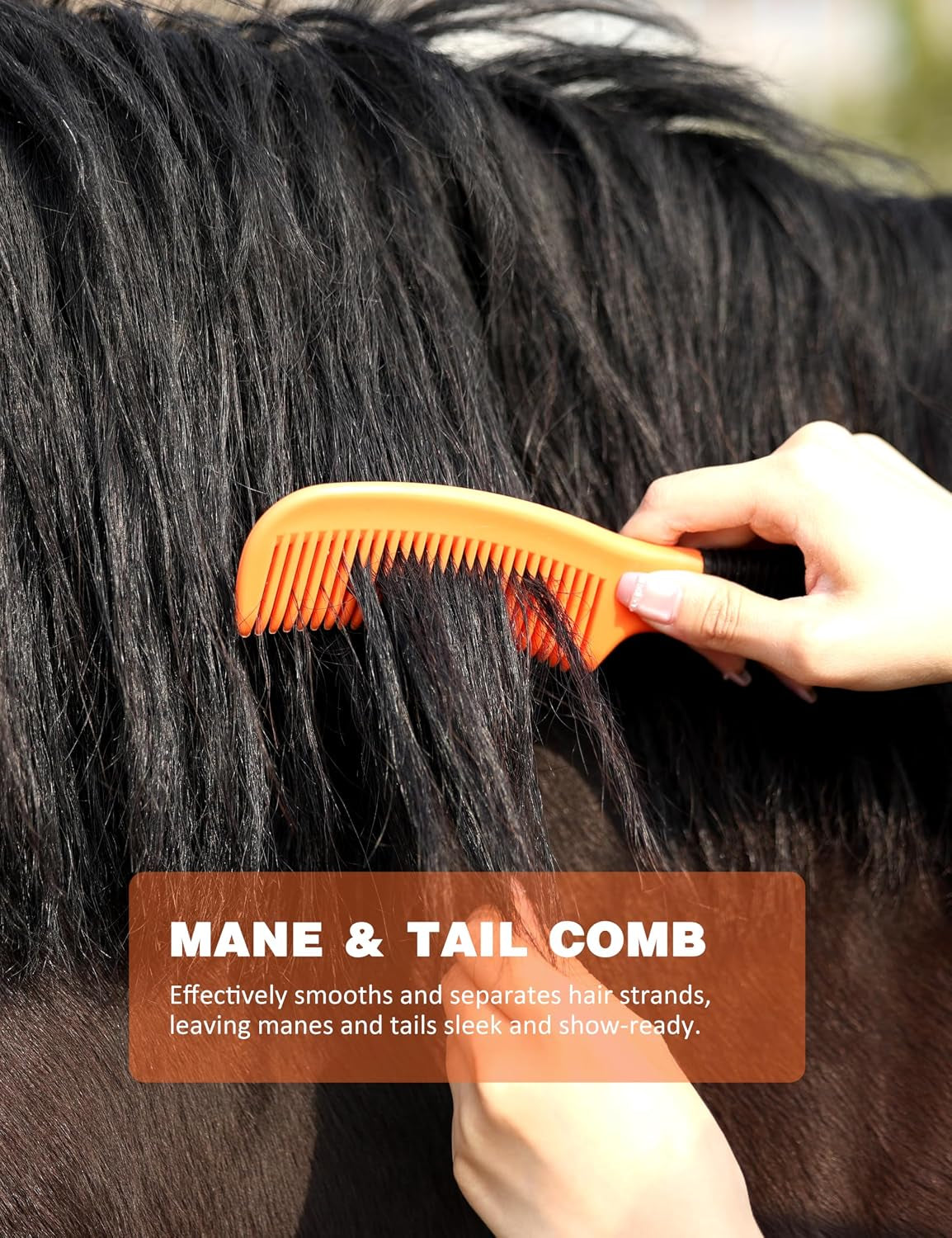 8-Piece Horse Grooming Kit, Complete Horse Brush Set
